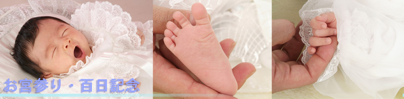 ���{�Q��E�S���L�O